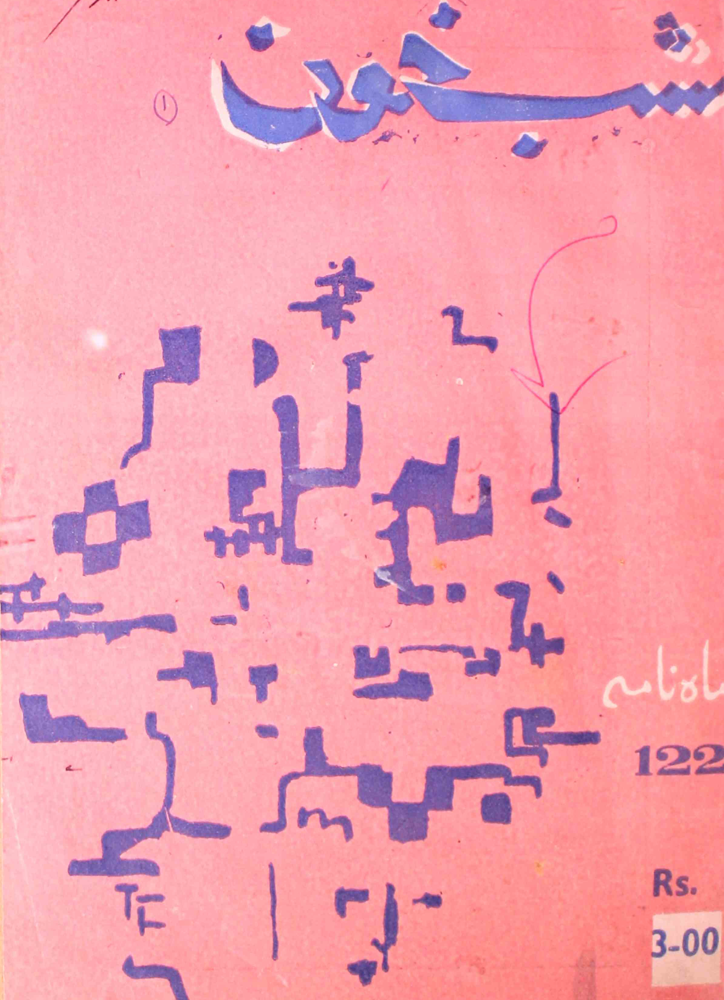 Shab-khoon-shumara-number-122-aqeela-shaheen-magazines