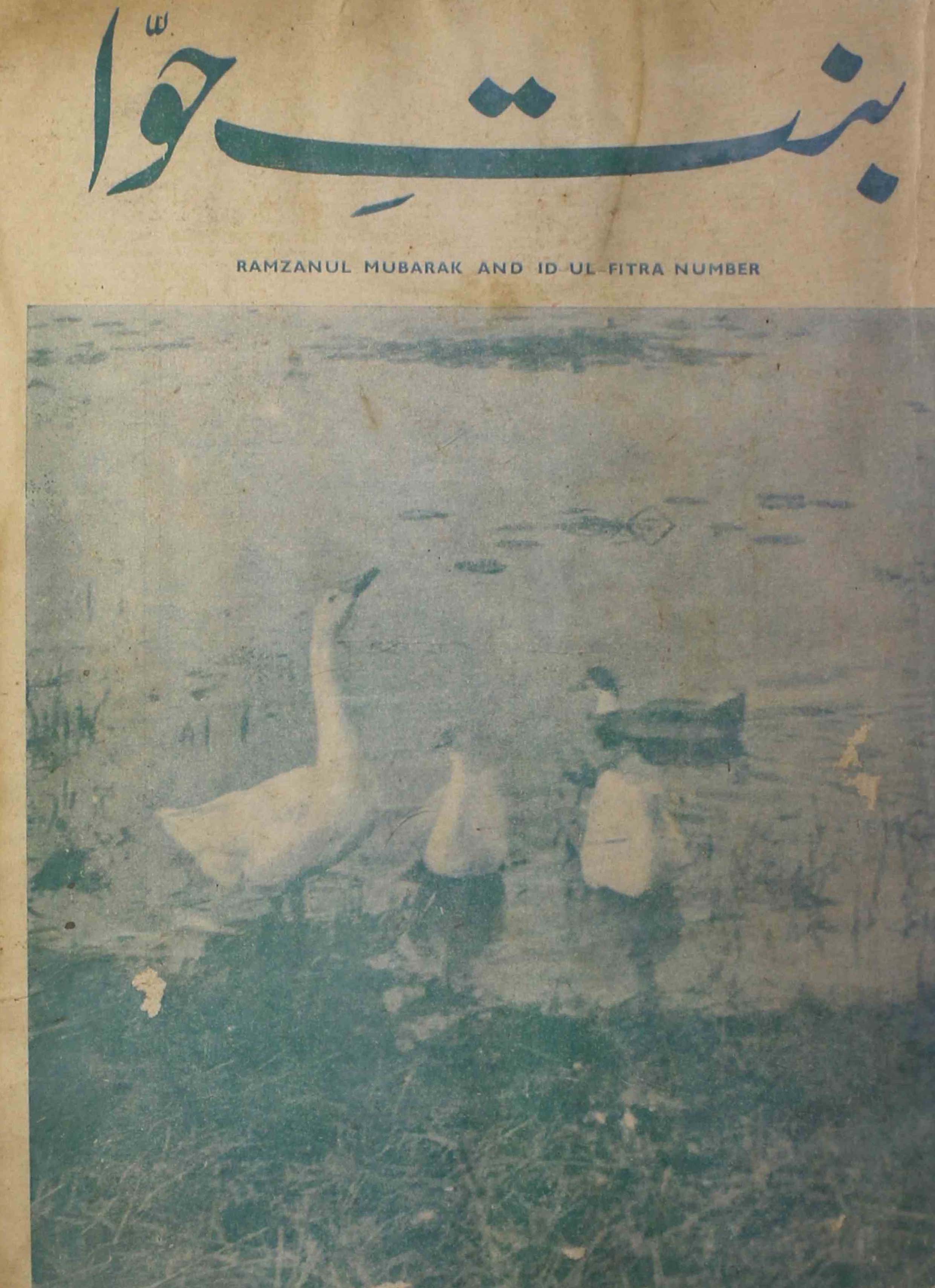 Bint-e-hawwa-shumara-number-010-011-mufeeda-khan-magazines