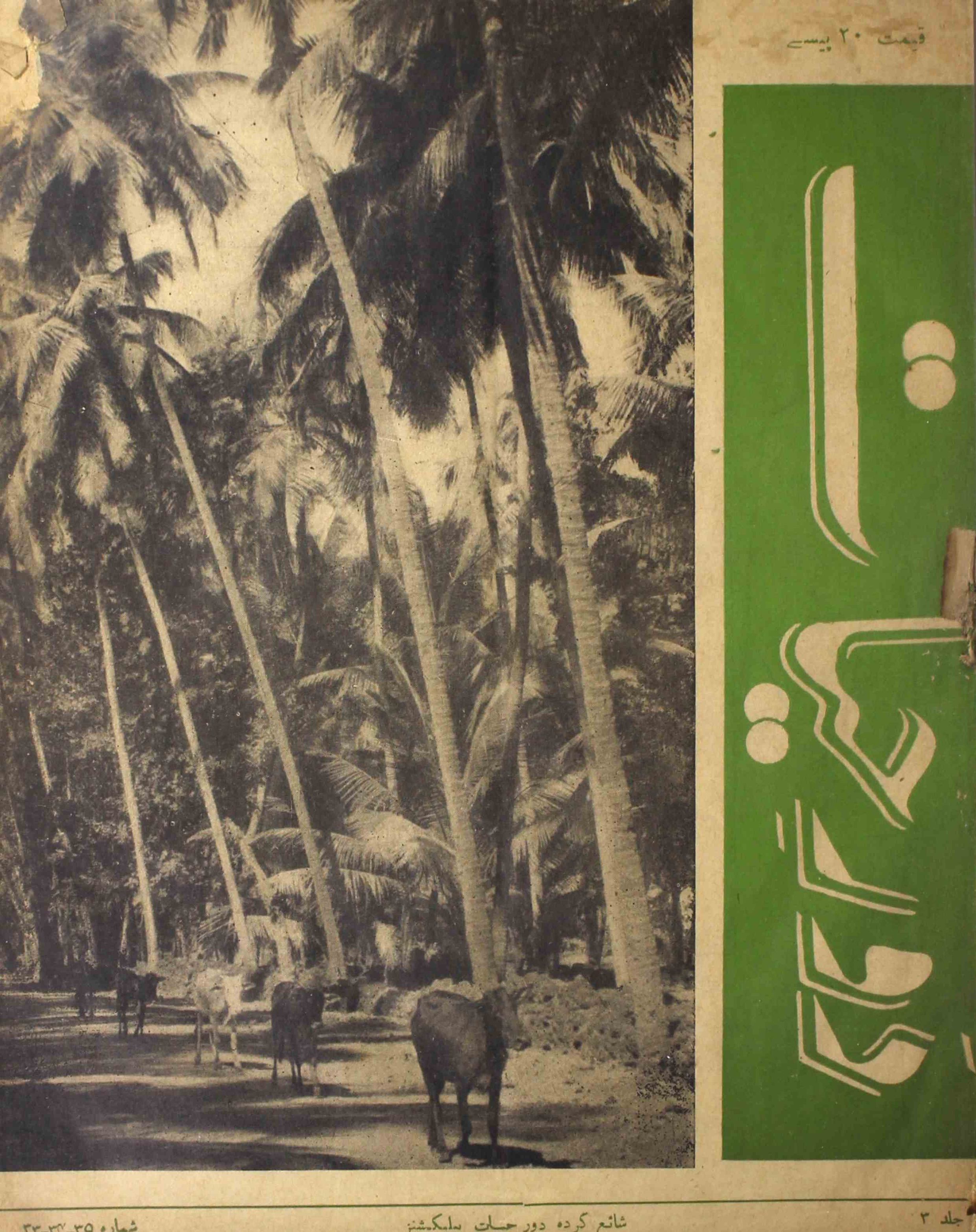 Daur-e-hayat-shumara-number-032-033-034-qaisar-mazhar-husain-magazines