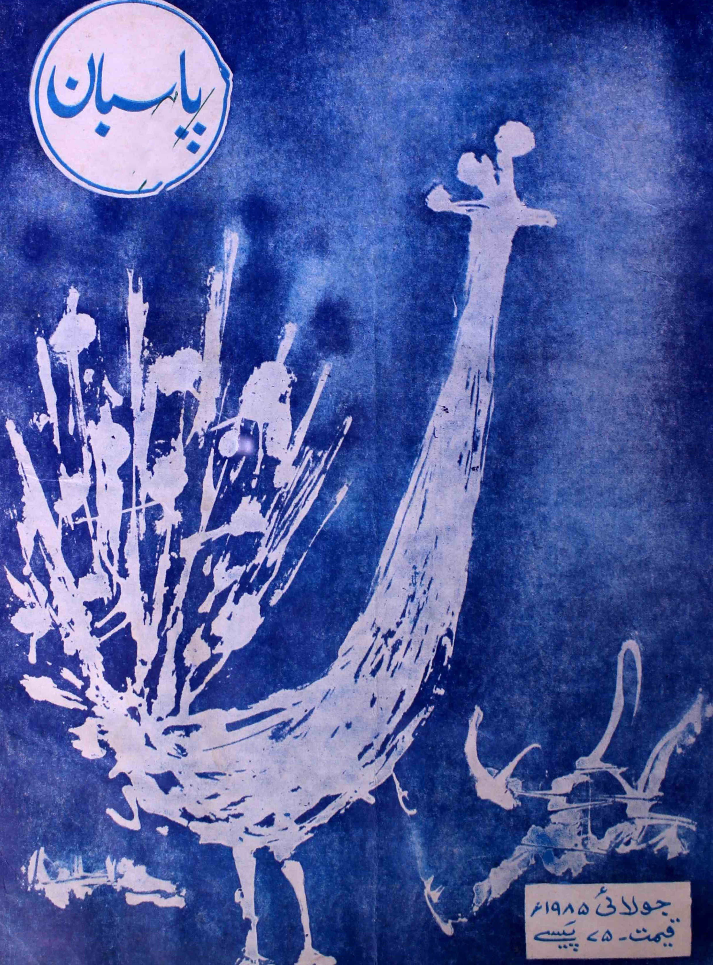 pasban-shumara-number-007-surendra-singh-mahi-magazines-1