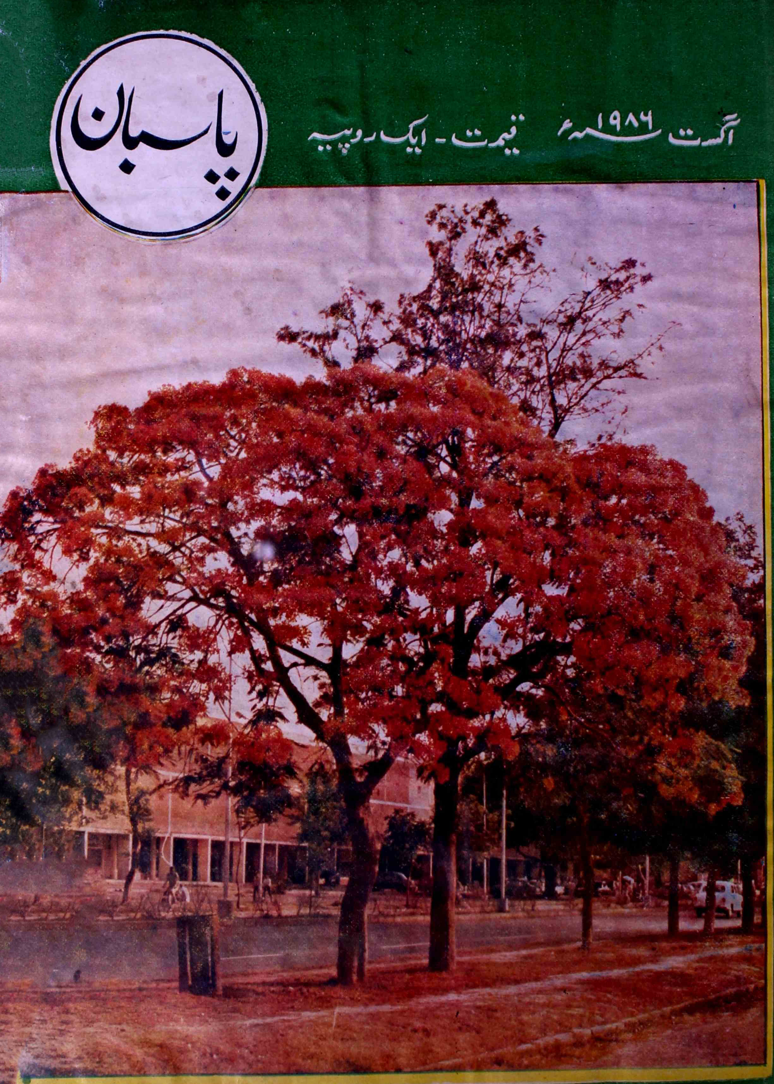 pasban-shumara-number-008-surendra-vij-magazines-1