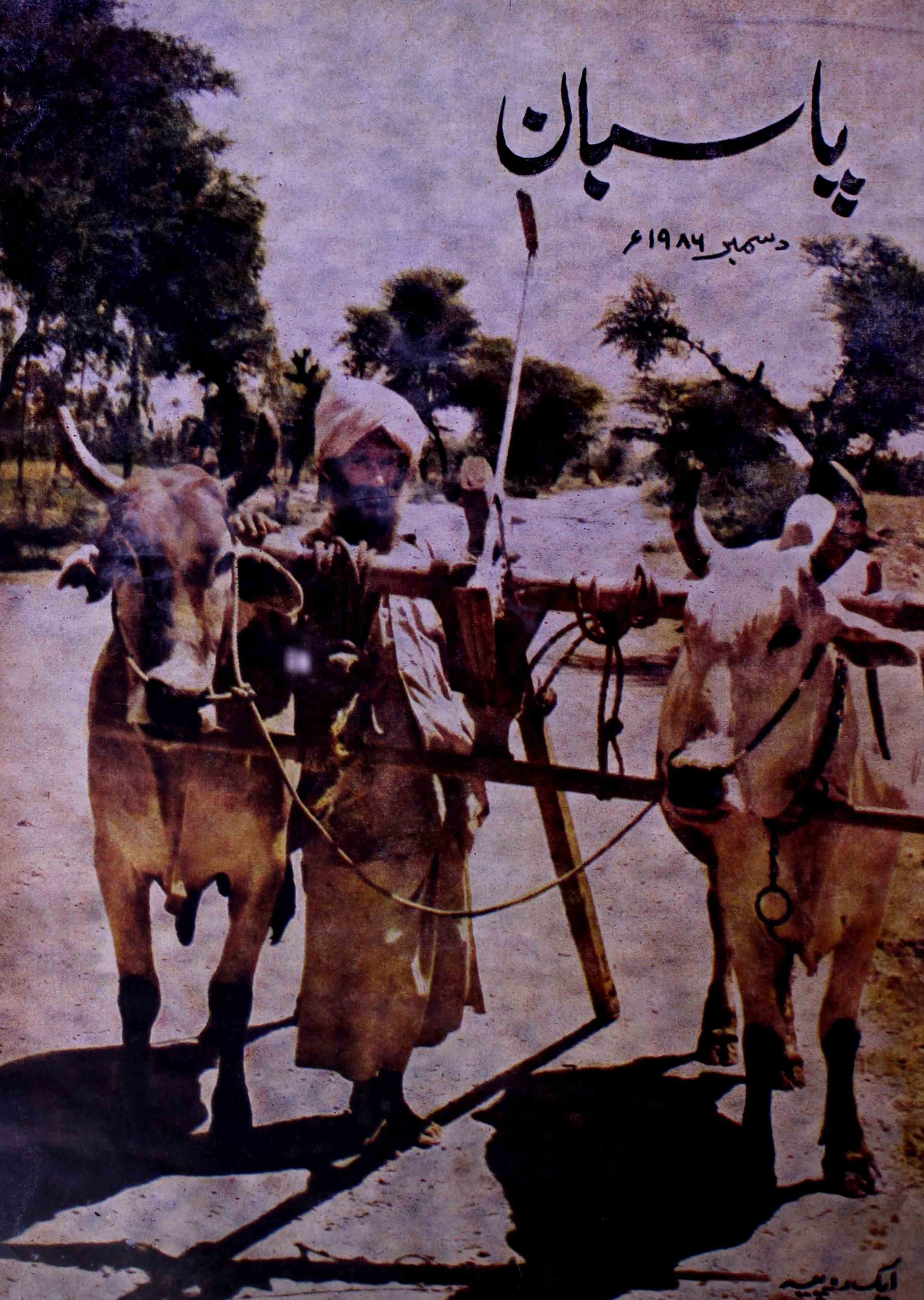 pasban-shumara-number-012-surendra-vij-magazines