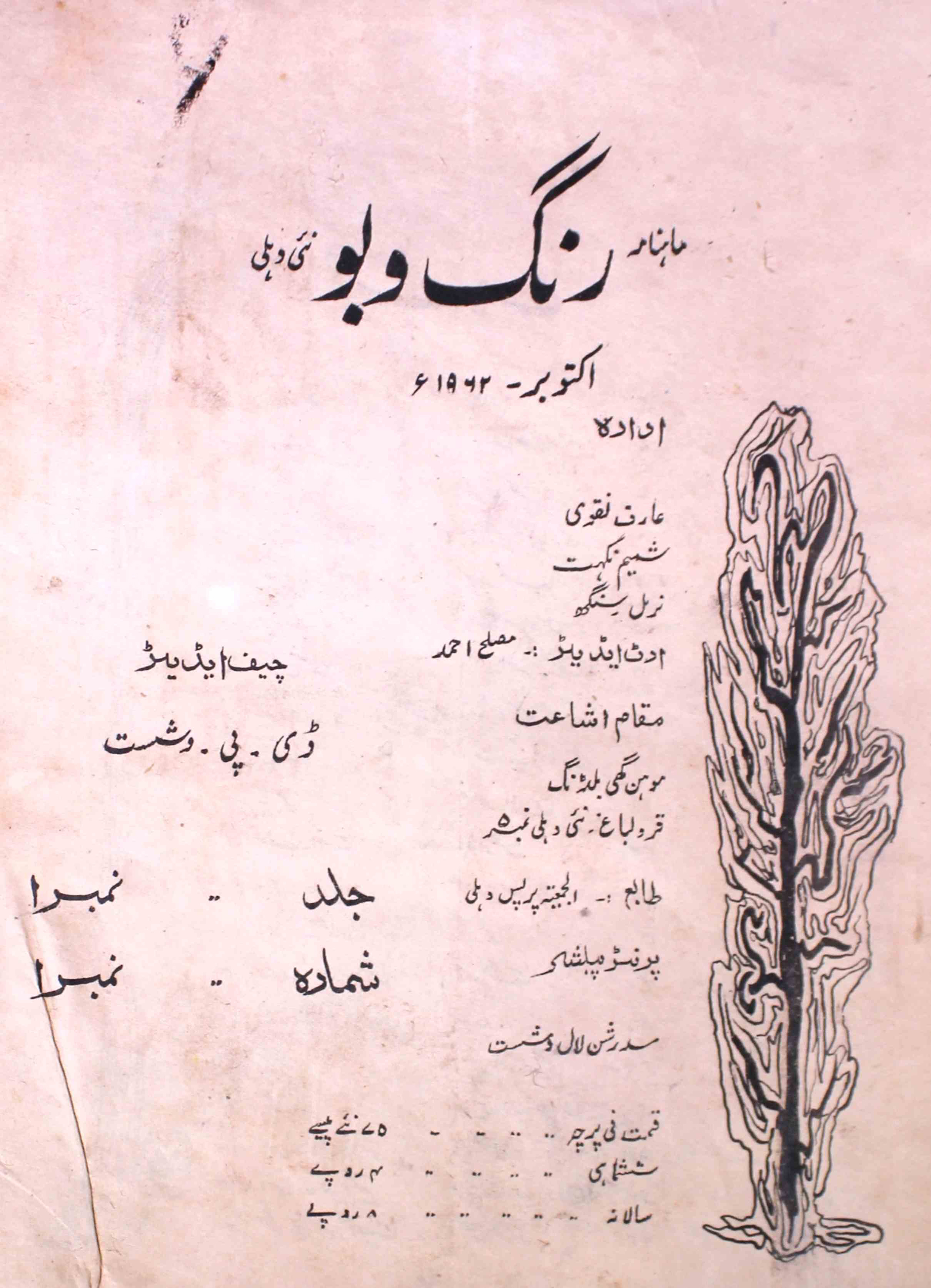 rang-o-boo-shumaara-number-001-d-p-washisth-magazines