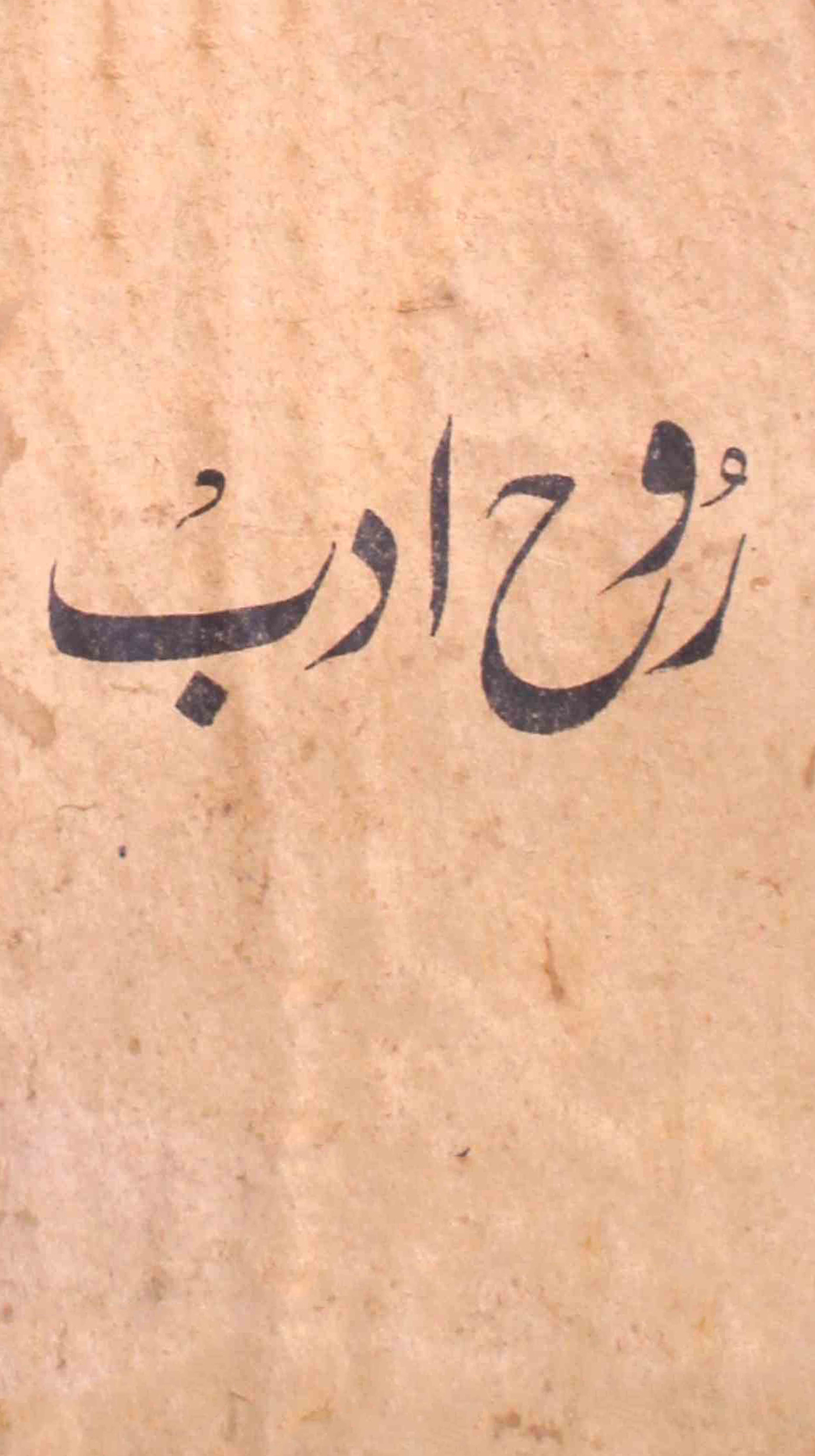 rooh-e-adab-karachi-shumaara-number-000-unknown-editor-magazines