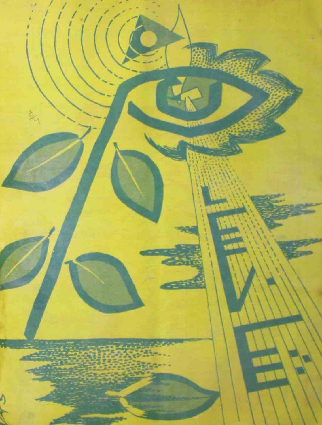 sakhsaar-shumara-number-006-amjad-najmi-magazines-1