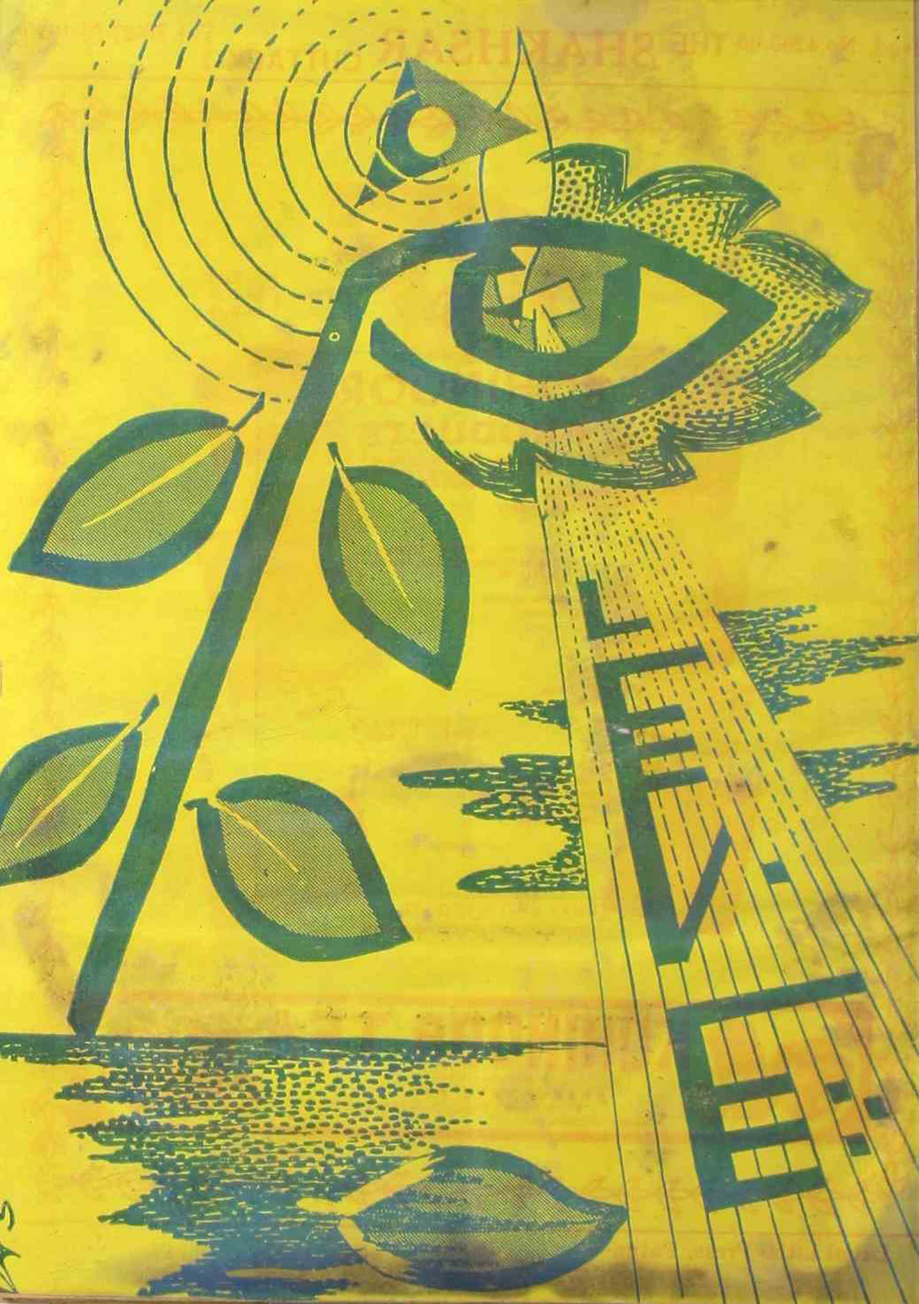 sakhsaar-shumara-number-029-030-amjad-najmi-magazines