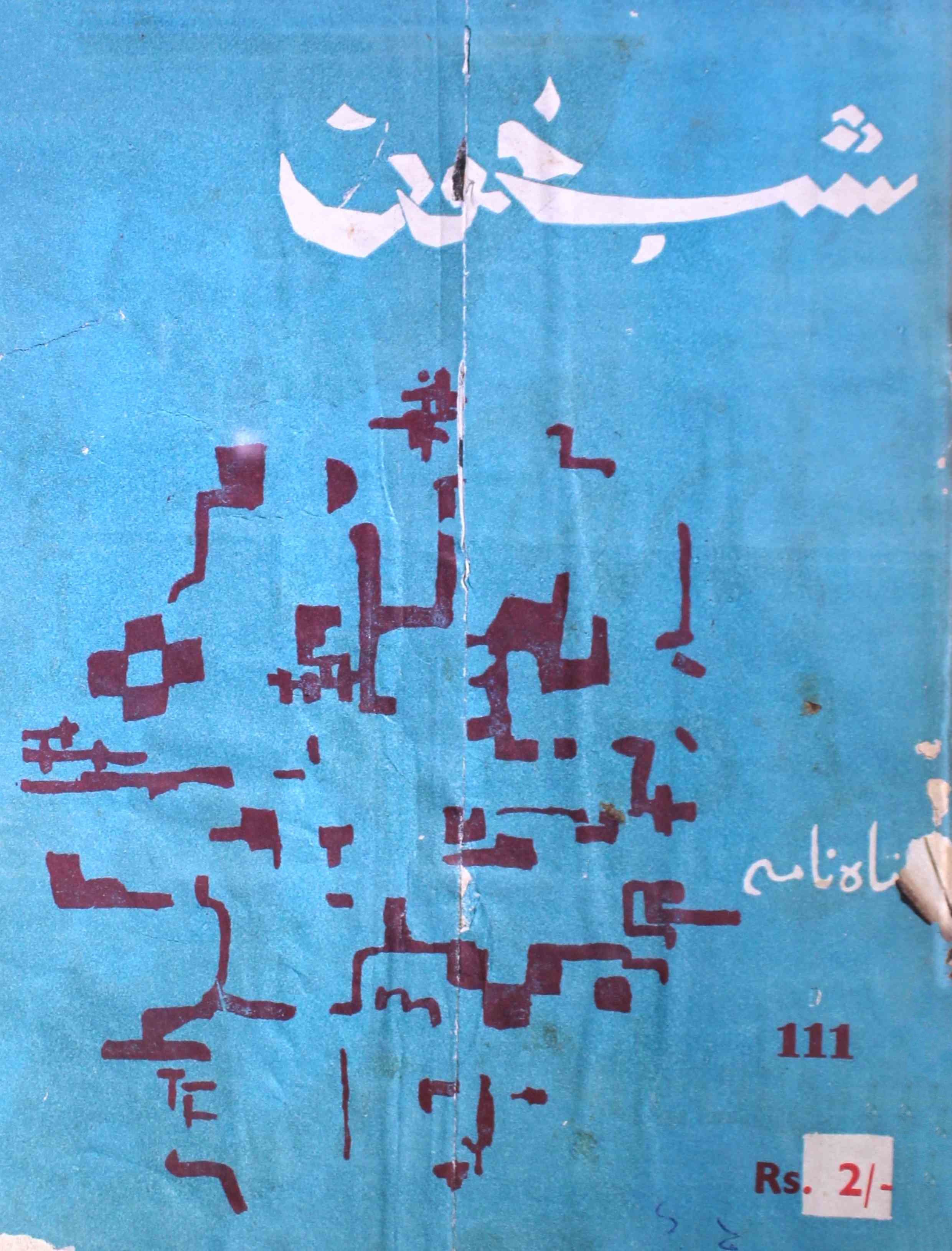 shab-khoon-shumara-number-111-aqeela-shaheen-magazines-1