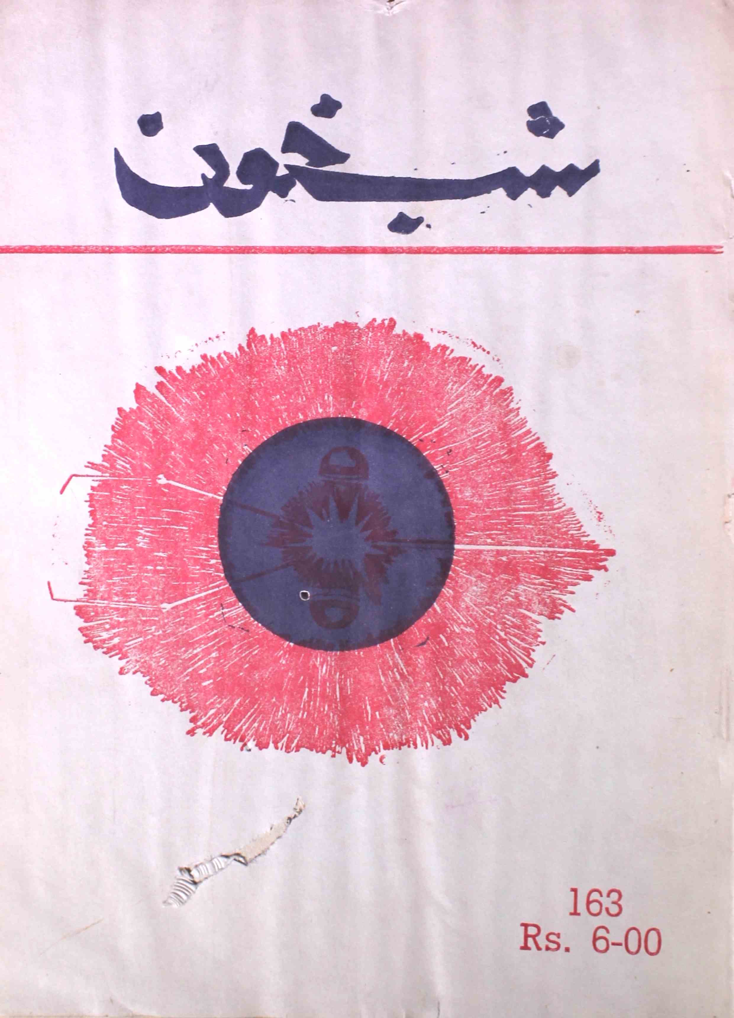 shab-khoon-shumara-number-163-aqeela-shaheen-magazines