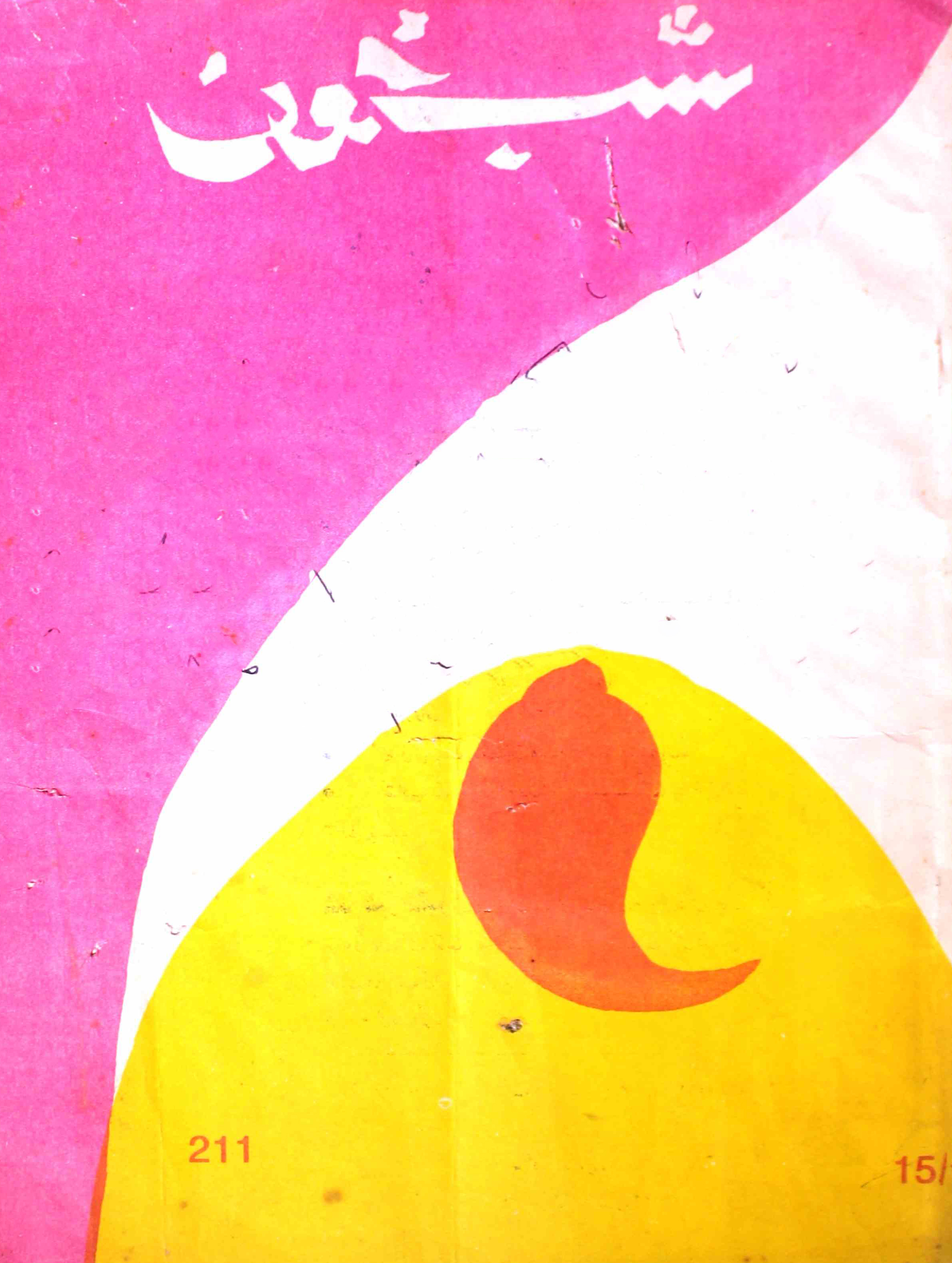 shab-khoon-shumara-number-211-aqeela-shaheen-magazines