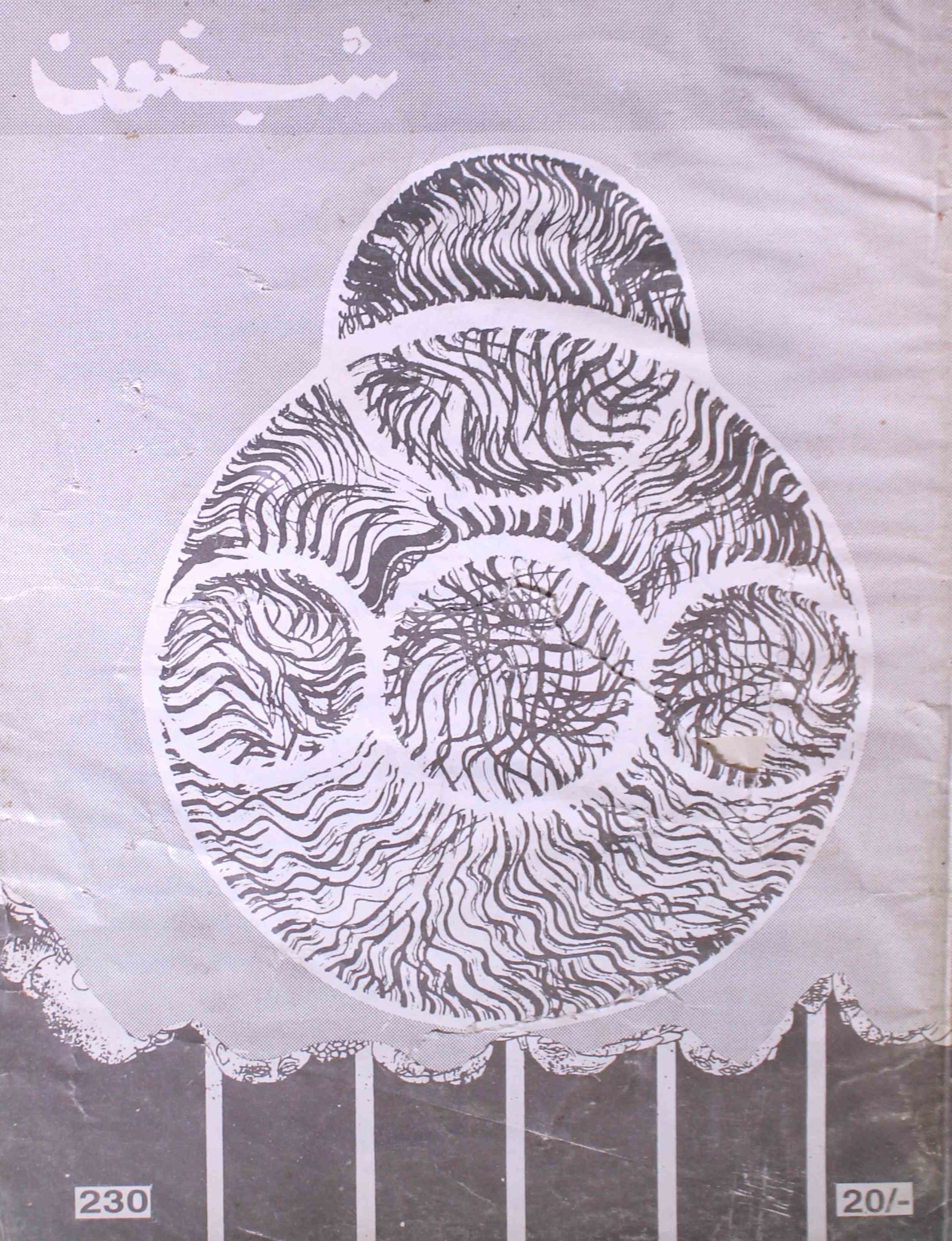 shab-khoon-shumara-number-230-aqeela-shaheen-magazines-1