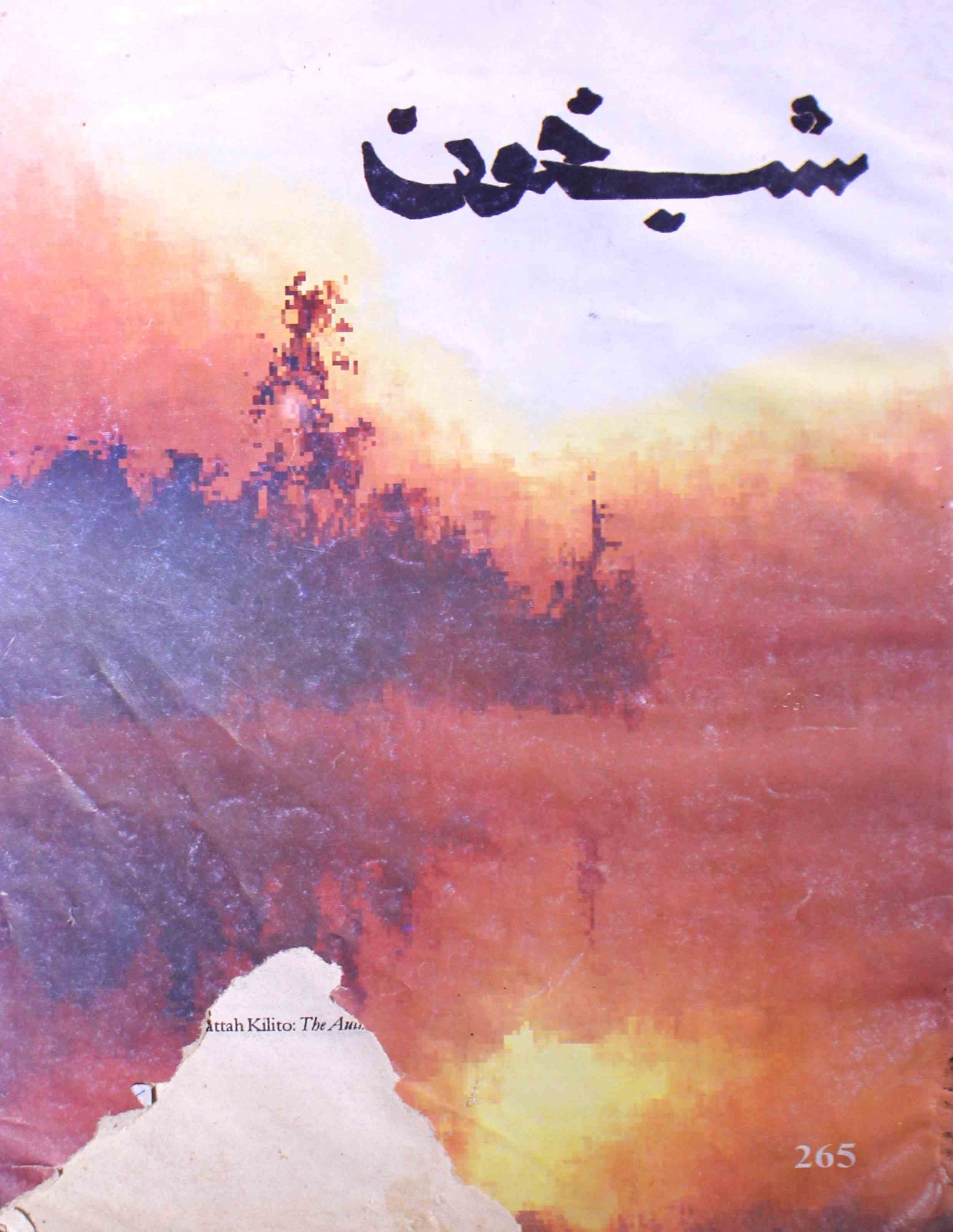 shab-khoon-shumara-number-267-aqeela-shaheen-magazines