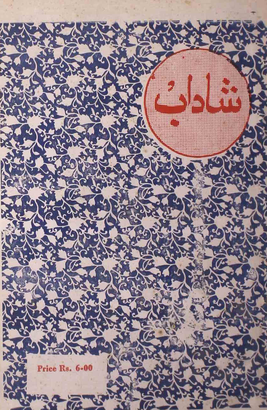 shadab-shumara-number-001-mohammad-qamruddin-sabri-magazines-13