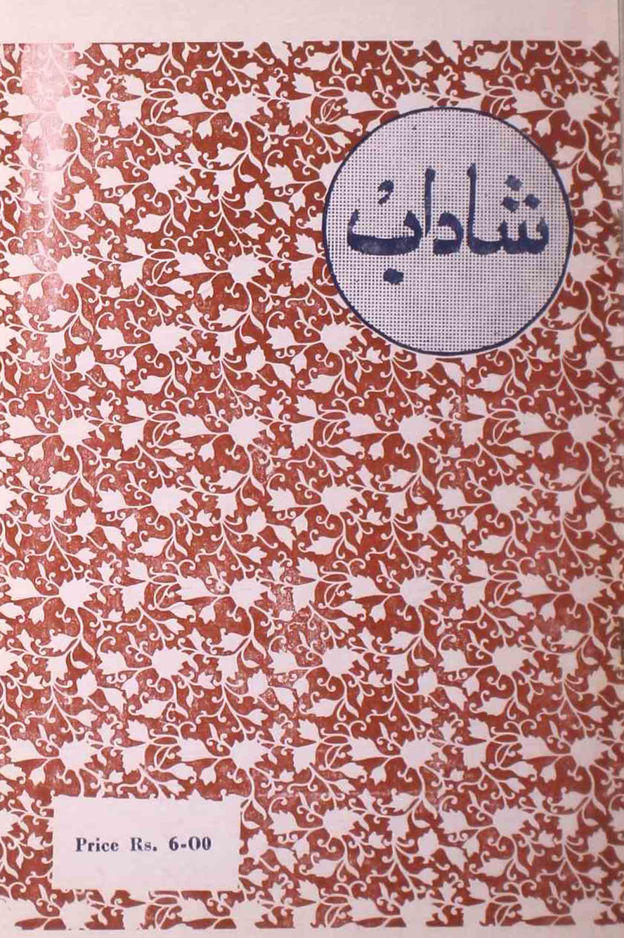 shadab-shumara-number-002-mohammad-qamruddin-sabri-magazines-11