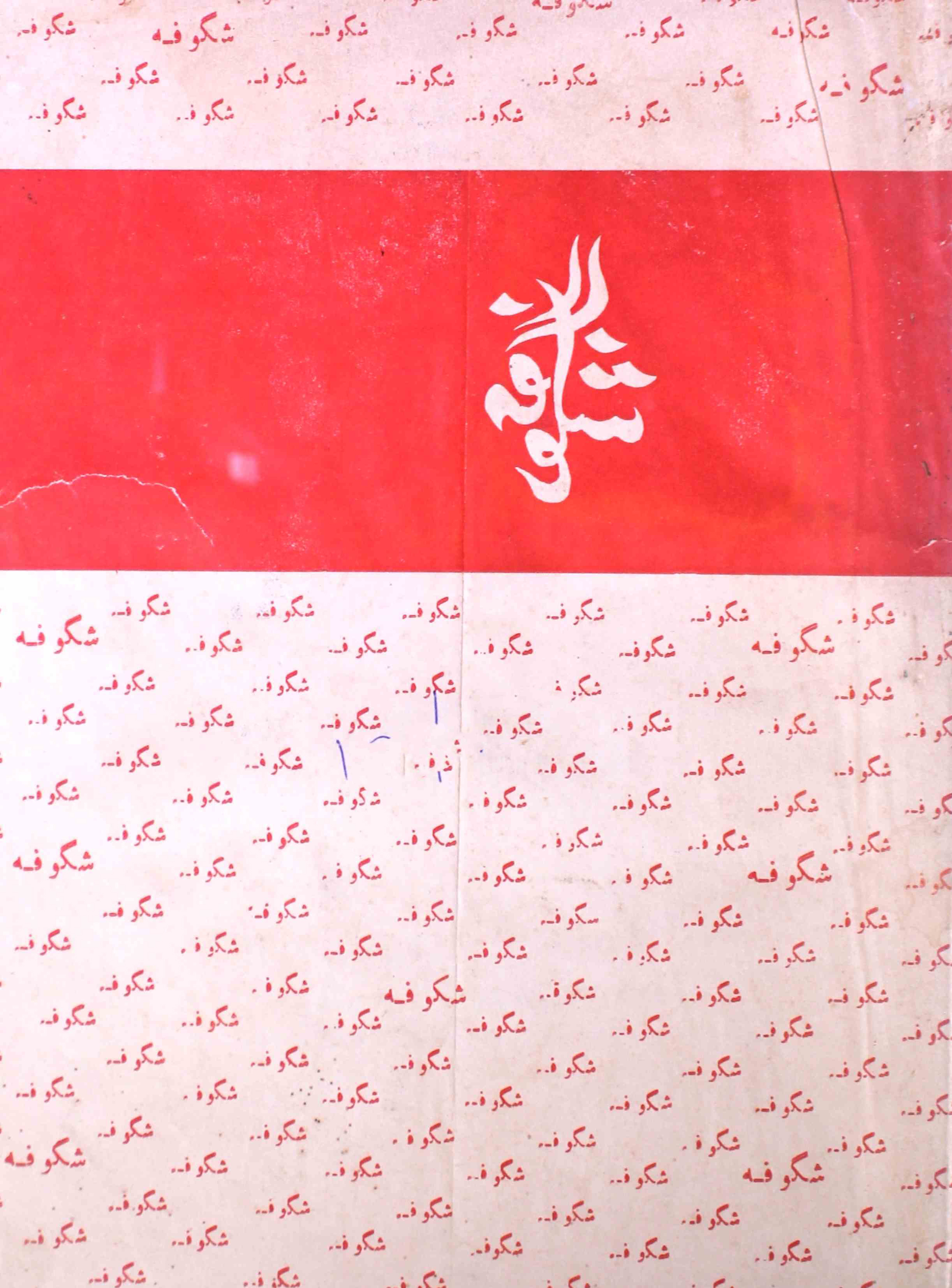 shagoofa-shumara-number-002-syed-mustafa-kamal-magazines-16