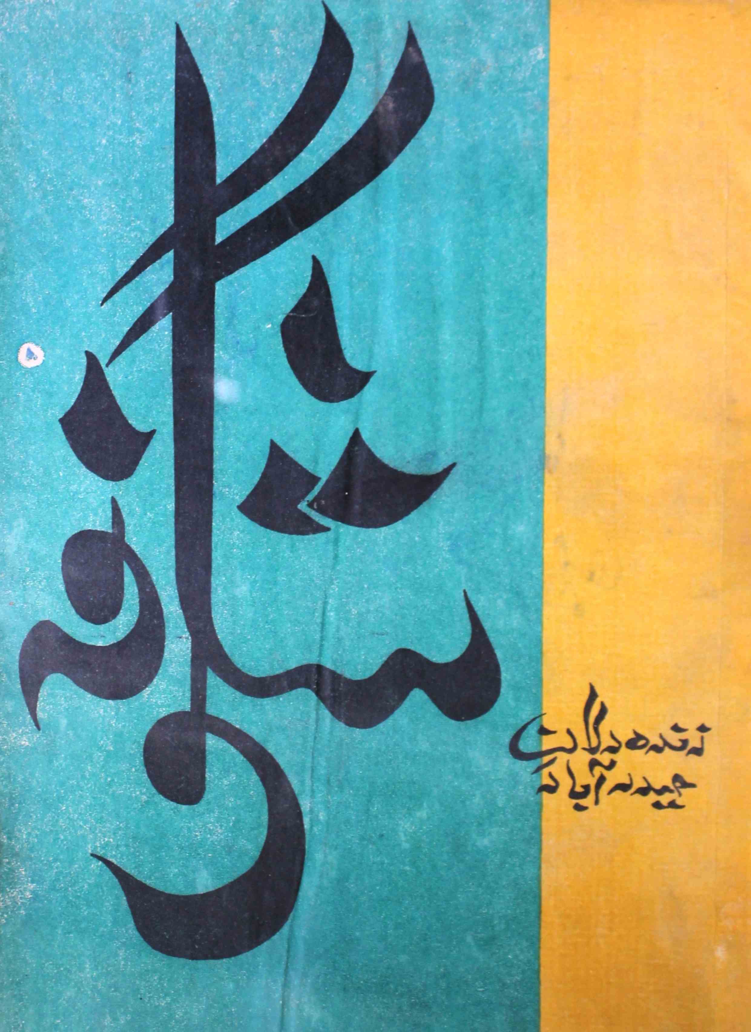 shagoofa-shumara-number-006-syed-mustafa-kamal-magazines-19