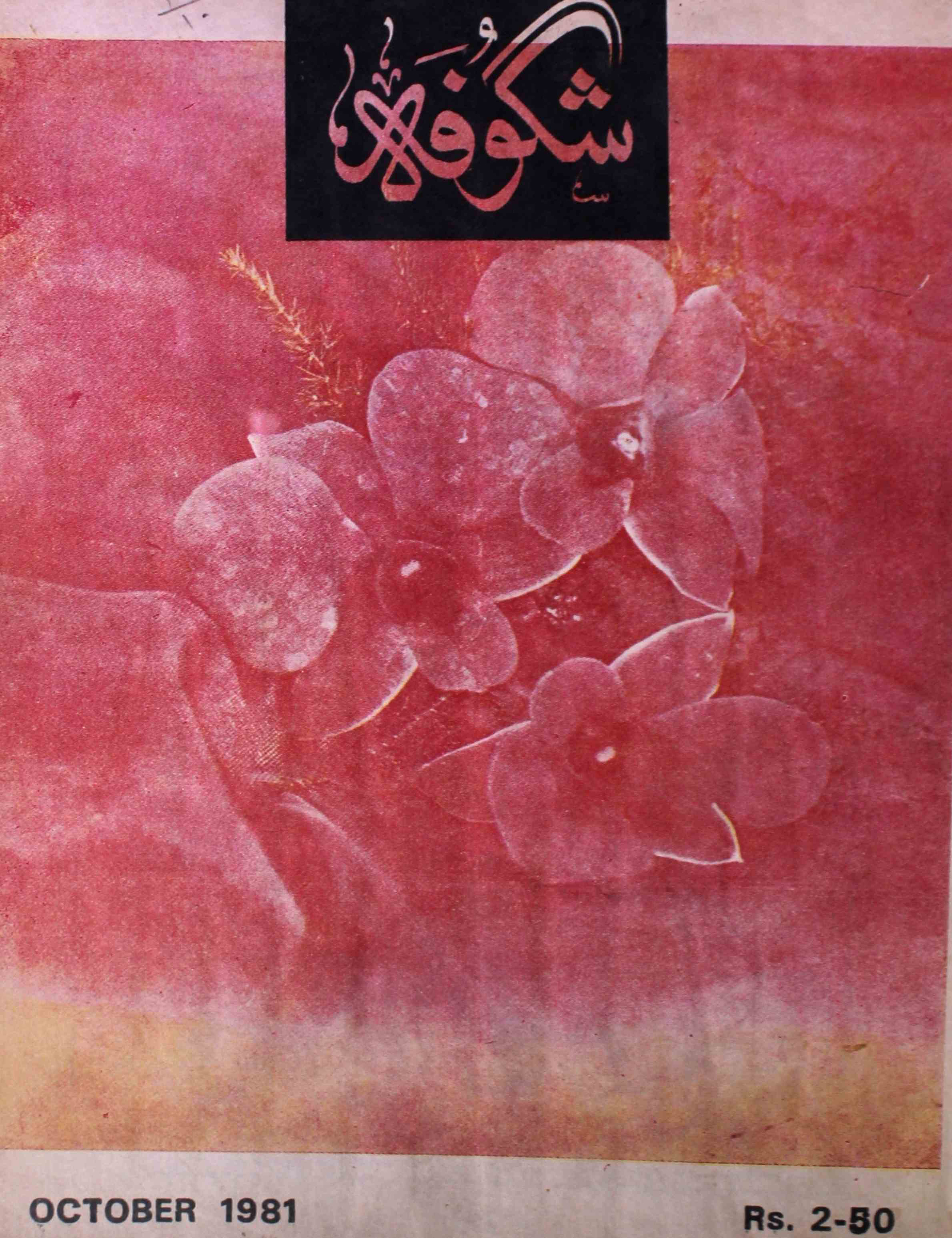 shagoofa-shumara-number-010-syed-mustafa-kamal-magazines-22