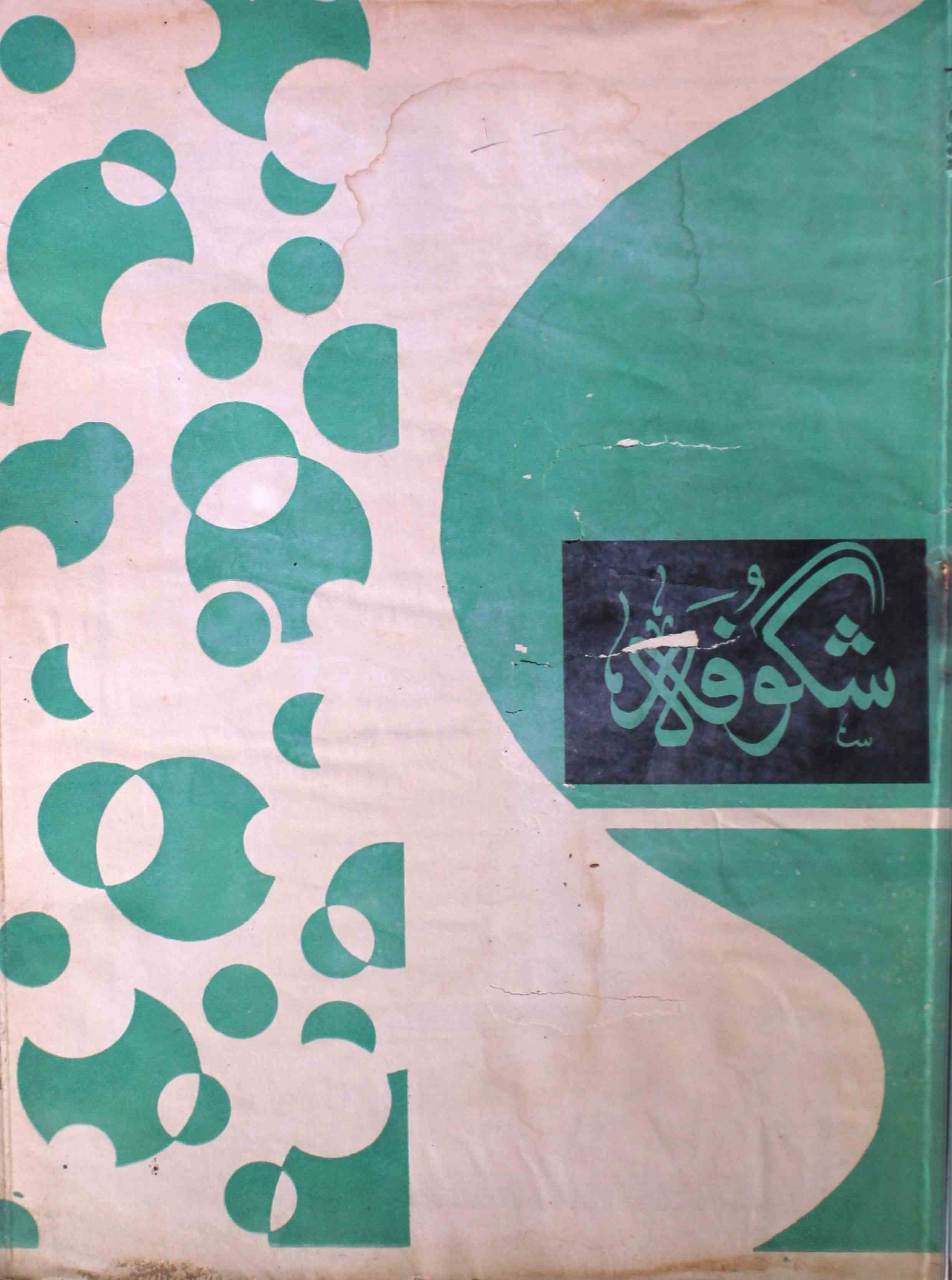 shagoofa-shumara-number-012-syed-mustafa-kamal-magazines-21