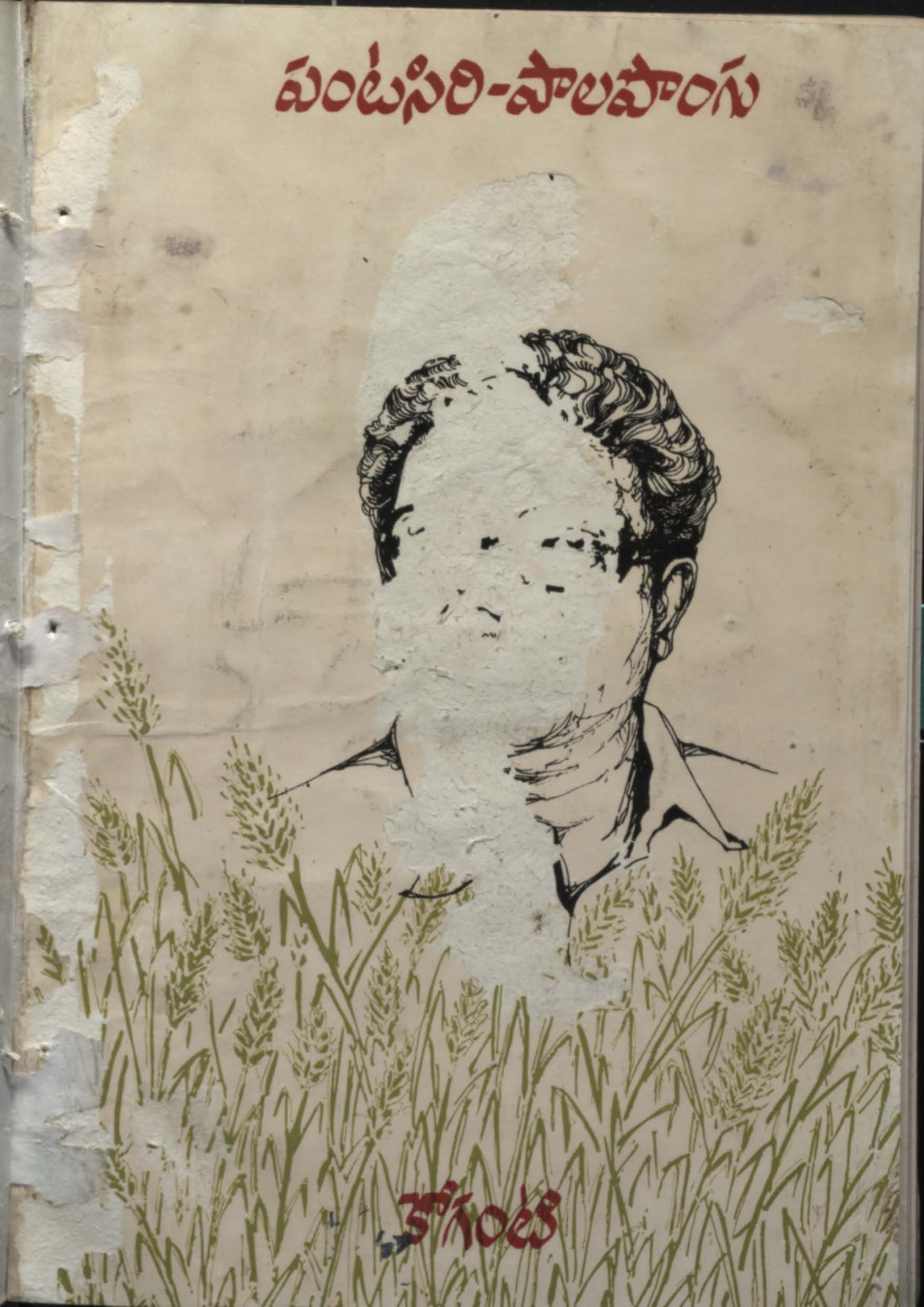 పంటసిరి-పాలపొంగు 